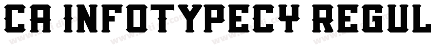 CA InfoTypeCY Regul字体转换
